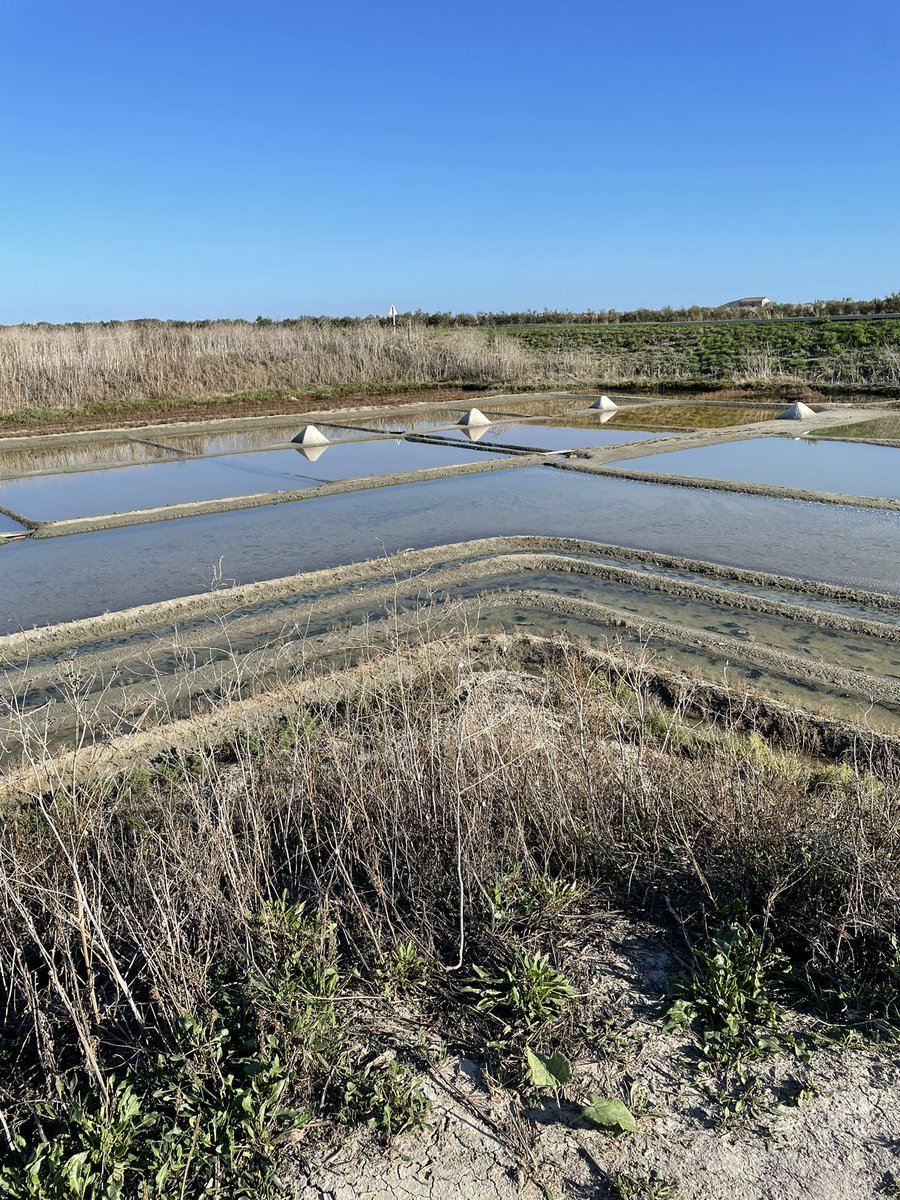 LIENSsCNRSULR's tweet photo. Lancement de l’Exposition #PAMPAS
à l’Ecomusée @iledere_17 
"#Patrimoine des #Marais #Littoraux : Quel devenir face à la #submersion ?" par les chercheurs, chercheuses et les partenaires du projet PAMPAS @LIENSsCNRSULR @Ifremer_fr @CEBC_ChizeLab @crhiam @littoral_cdl https://t.co/2zL2Dg4hdu