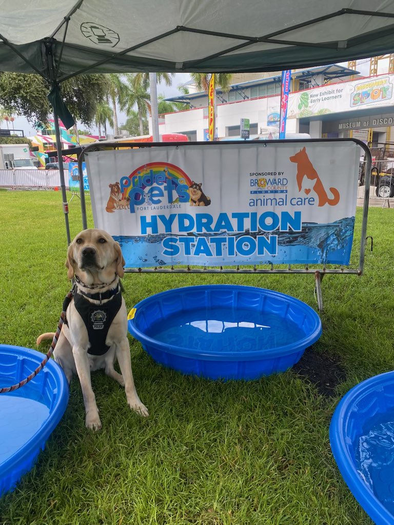 flpdrecruit's tweet photo. The #FLPD Recruiting Unit is at the Pride Pets event today at Esplanade Park. Stop by for information on our current job opportunities!!! Visit
https://t.co/Bn2pP2If7q to speak with a Recruiter or for more information. #pridepets #weareftl
#JoinFLPD https://t.co/265LE8Ehy8