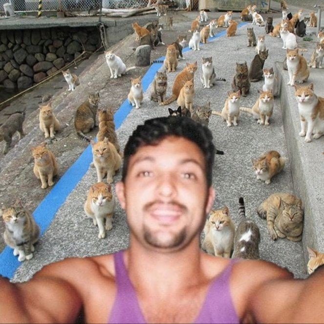 tangasvermelhas's tweet photo. Feliz aniversário, Sérgio!! mesmo que não tenhamos mais sua presença aqui, sempre lembraremos de você com carinho e gratidão, obrigado por ter sido essa pessoa tão querida e incrível por todos, te amamos, falcão. 🫶 #SERGIODAY https://t.co/rvXXsmY2Xt