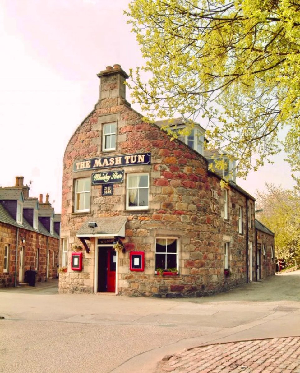 🇺🇦 Cassie Bouverie Website Strategist 🇺🇦 tweet media