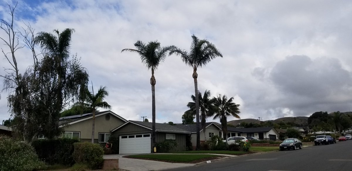 Otalia69's tweet photo. @stwinter84 @Angie_Harmon @DocGiani @crystalchappell @JessicaLeccia @mikesabo625 @sashaalexander @ITGirlsStoop @OpenBook_Prod @PerfectFeatFilm @anothercc @venicetheseries #HappySaturday from #Ventura...🌴 #caregiver #Sept30th https://t.co/7jSUo62Dec