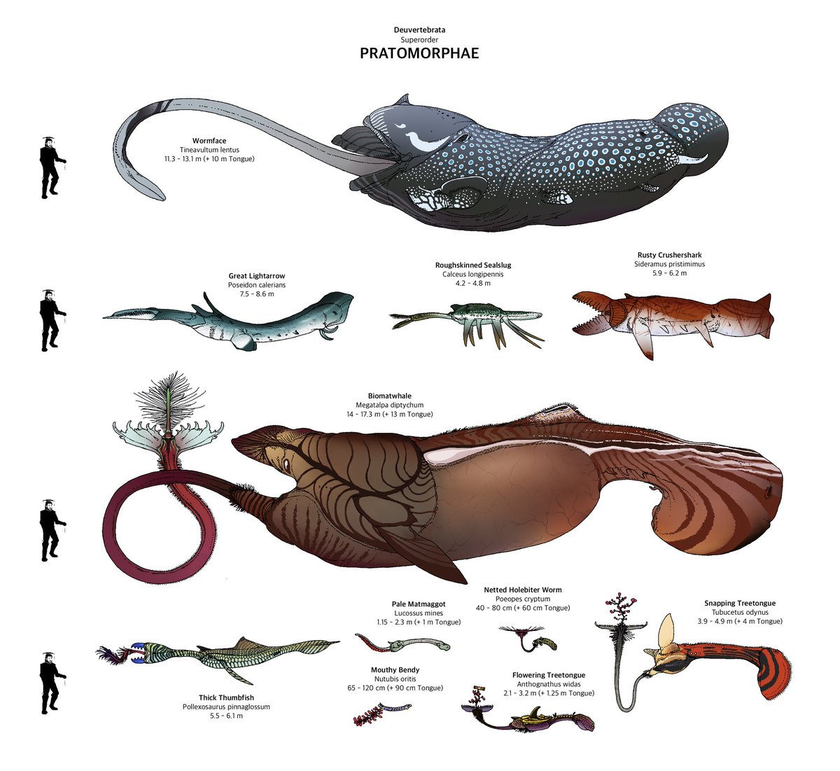 Phtanum - Pratomorphs! Large-bodied deuvertebrate swimmers or burrowers, with mouths on elongated „tongues“. Some lie waiting, buried in biomat akin to oversized beartraps, others are active pelagic hunters..