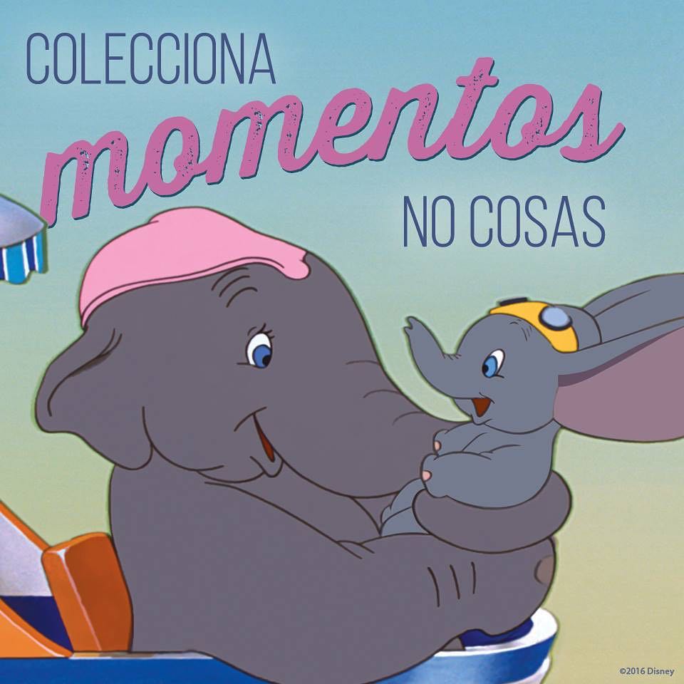 MagicMundi's tweet photo. Los momentos se quedan en nuestra memoria para siempre https://t.co/lGBBJI5W8g