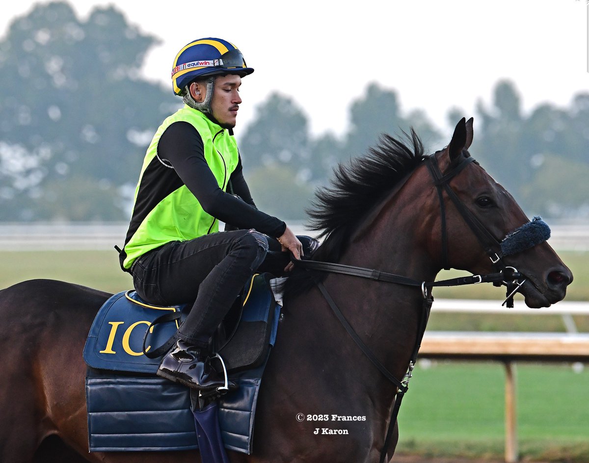 Frances J Karon tweet media