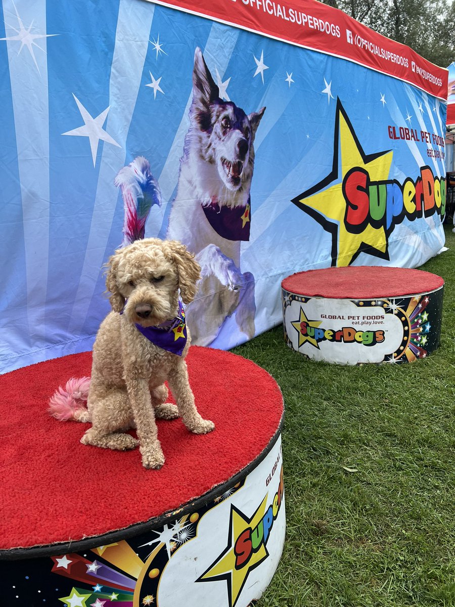 Emma Dailey tweet media