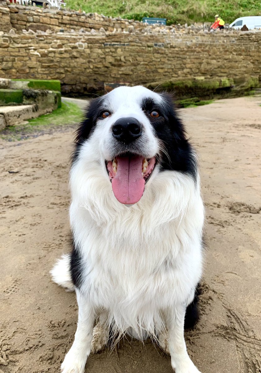 What do you mean you forgot da ball Dad ! 🙄