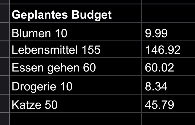 Budget diesen Monat wieder on point 💪
