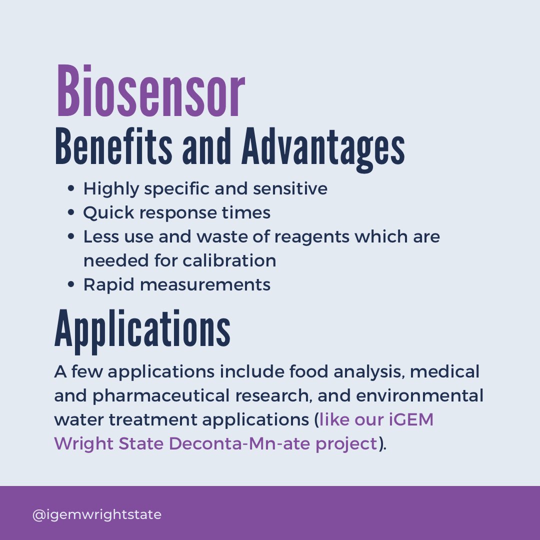 WrightStateiGEM tweet media