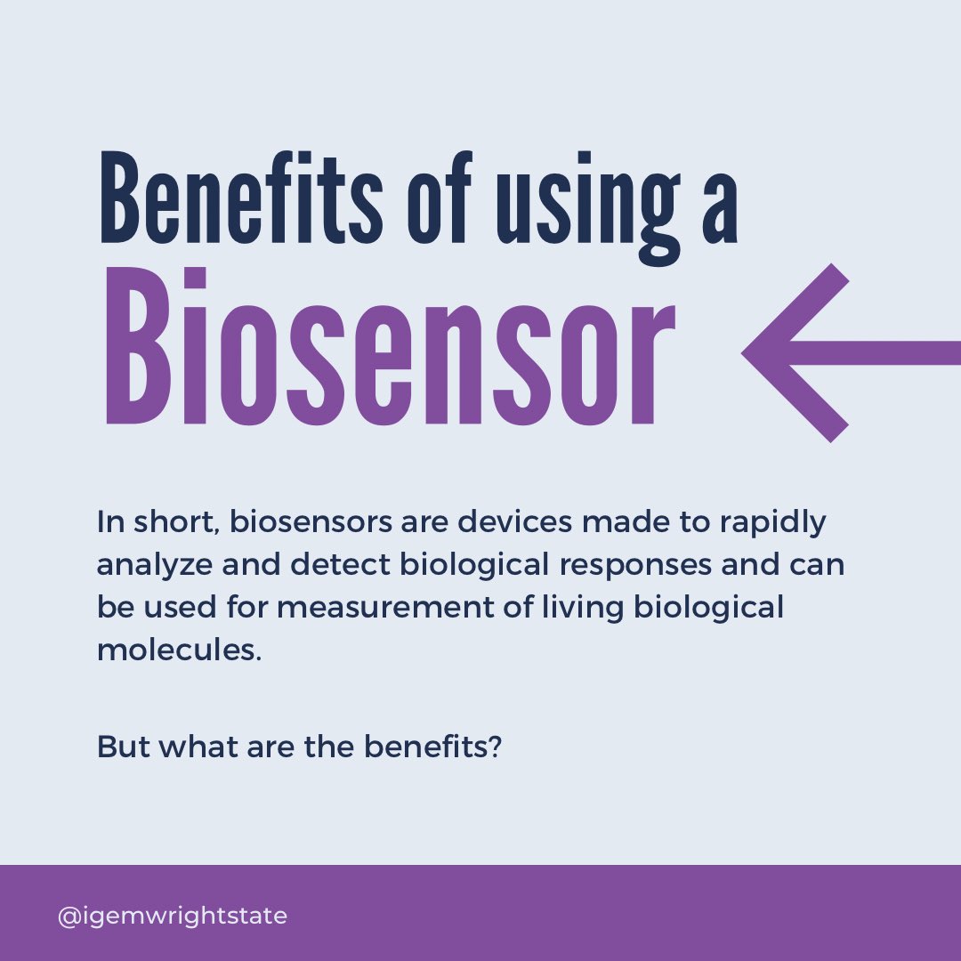 WrightStateiGEM tweet media