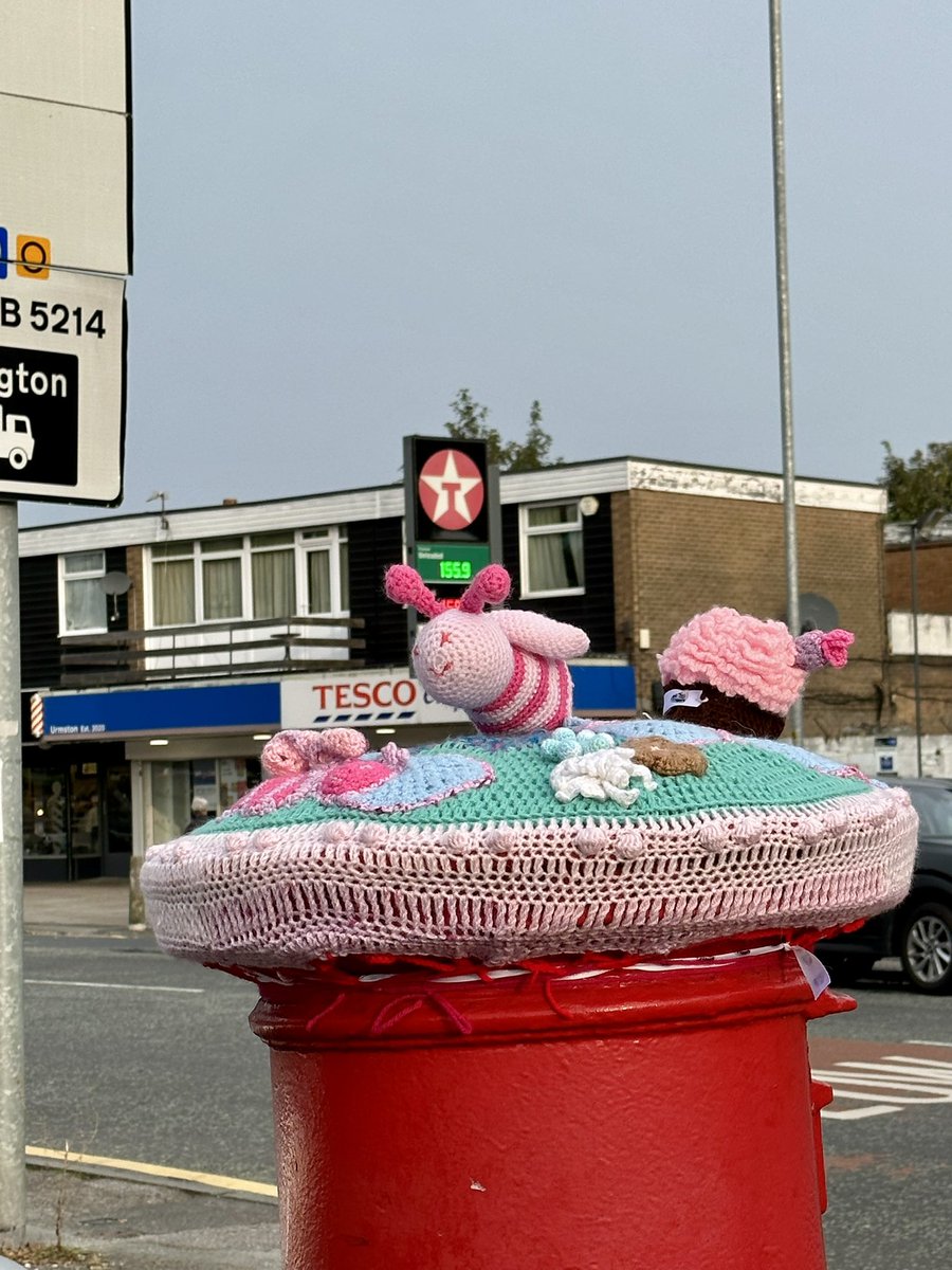 BridgewaterTraffordRotary tweet media