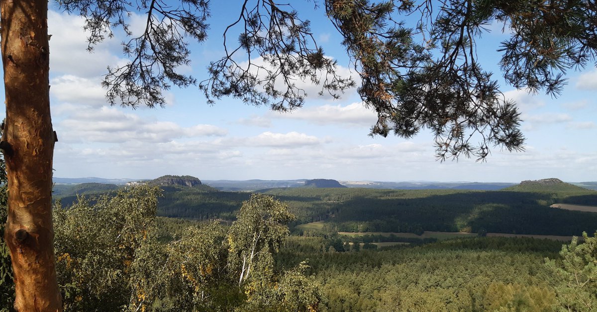 TorstenAbel1's tweet photo. Vom #Katzstein/Aussichtspunkt Signal bietet sich eine beeindruckende Sicht auf die ganze #SächsischeSchweiz mit #FestungKönigstein, #Pfaffenstein, #Gohrisch, #Papststein #Zirkelstein #Zschirnstein und bis nach #Böhmen. https://t.co/WcHTLEfkH4