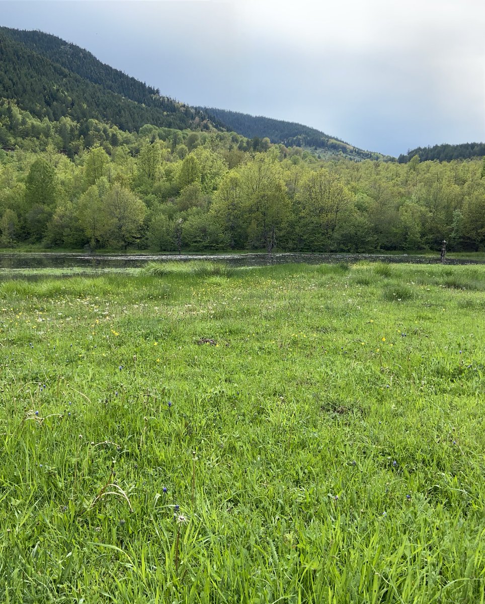 izzettin YURTOĞLU (@izzetyurt) on Twitter photo 