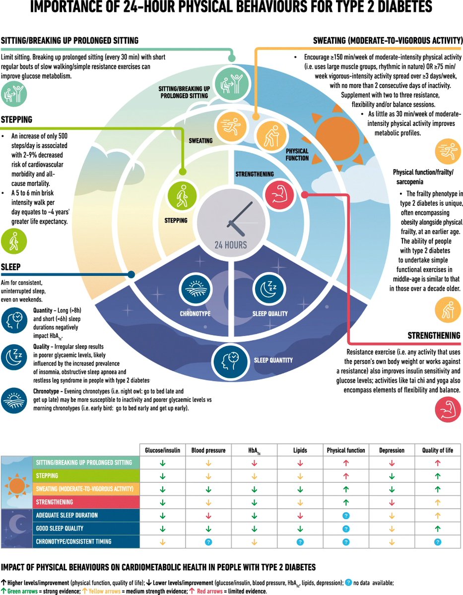 Importance of 24-hour physical behaviors for type 2 diabetes. link.springer.com/article/10.100…