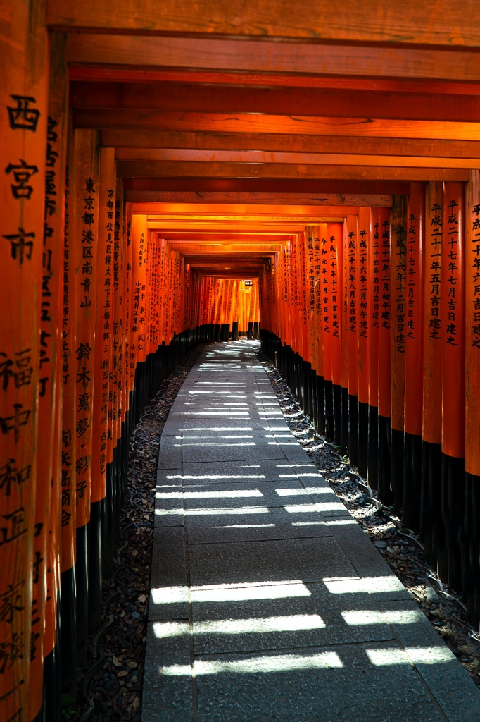 WorldBuddyapp's tweet photo. 🚶‍♀️ Walk through history at Fushimi Inari Taisha Shrine! 🏮 With the WorldBuddy travel app. Don't miss the chance to explore its mystical beauty. 🌄 

📍 Fushimi Inari Taisha, Kyoto Japan 🇯🇵

#PlaceToSee📸
#NoLimitsJustDiscovery
#WorldBuddy🌏️ https://t.co/YvMnijYmTq