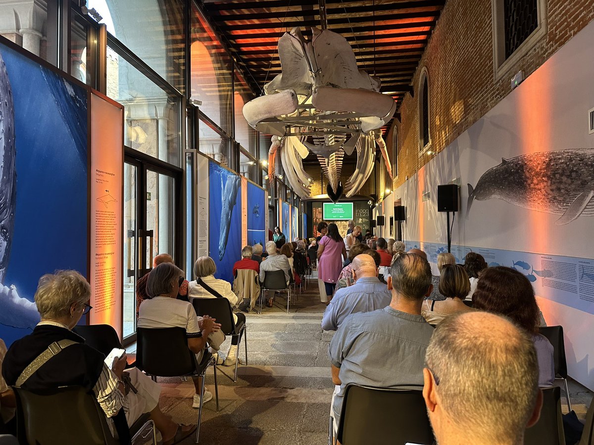 MUSEI DI VENEZIA tweet media