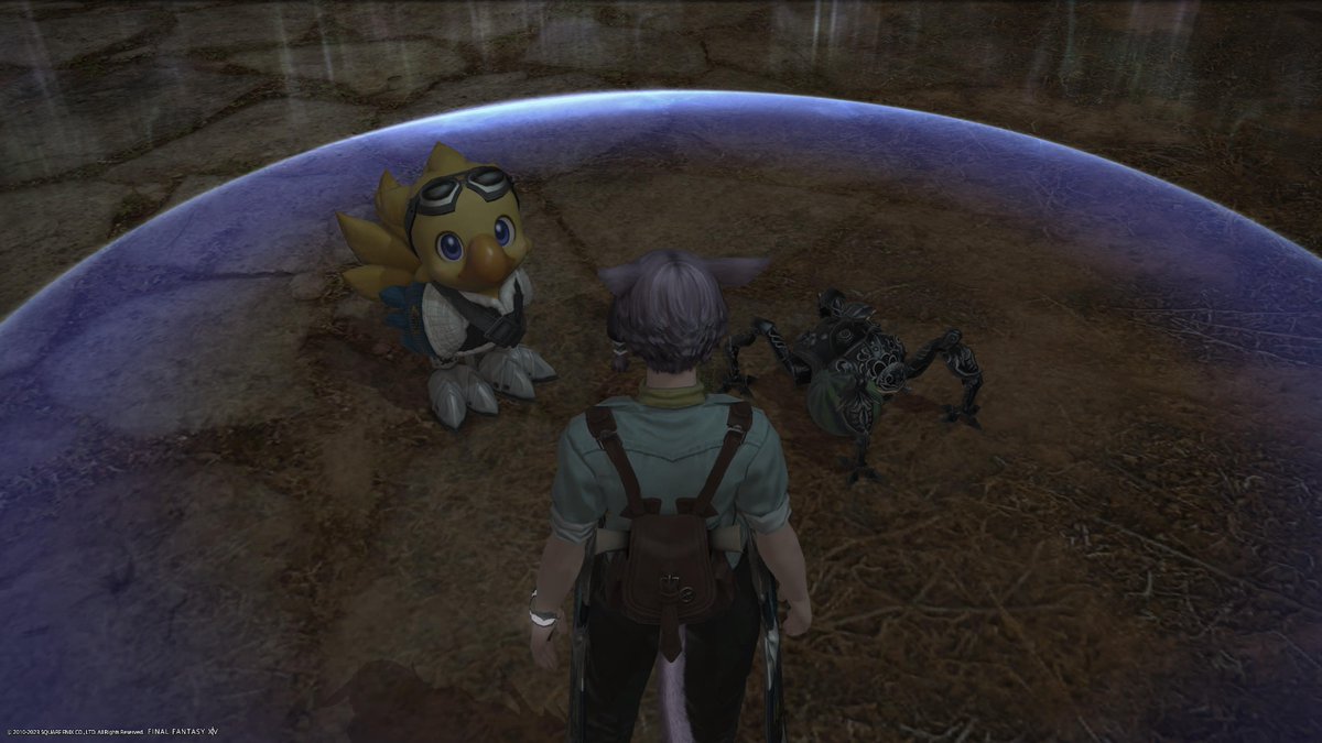 mc_millan's tweet photo. #PS5Share, #ファイナルファンタジーXIV https://t.co/DzGJom35HW