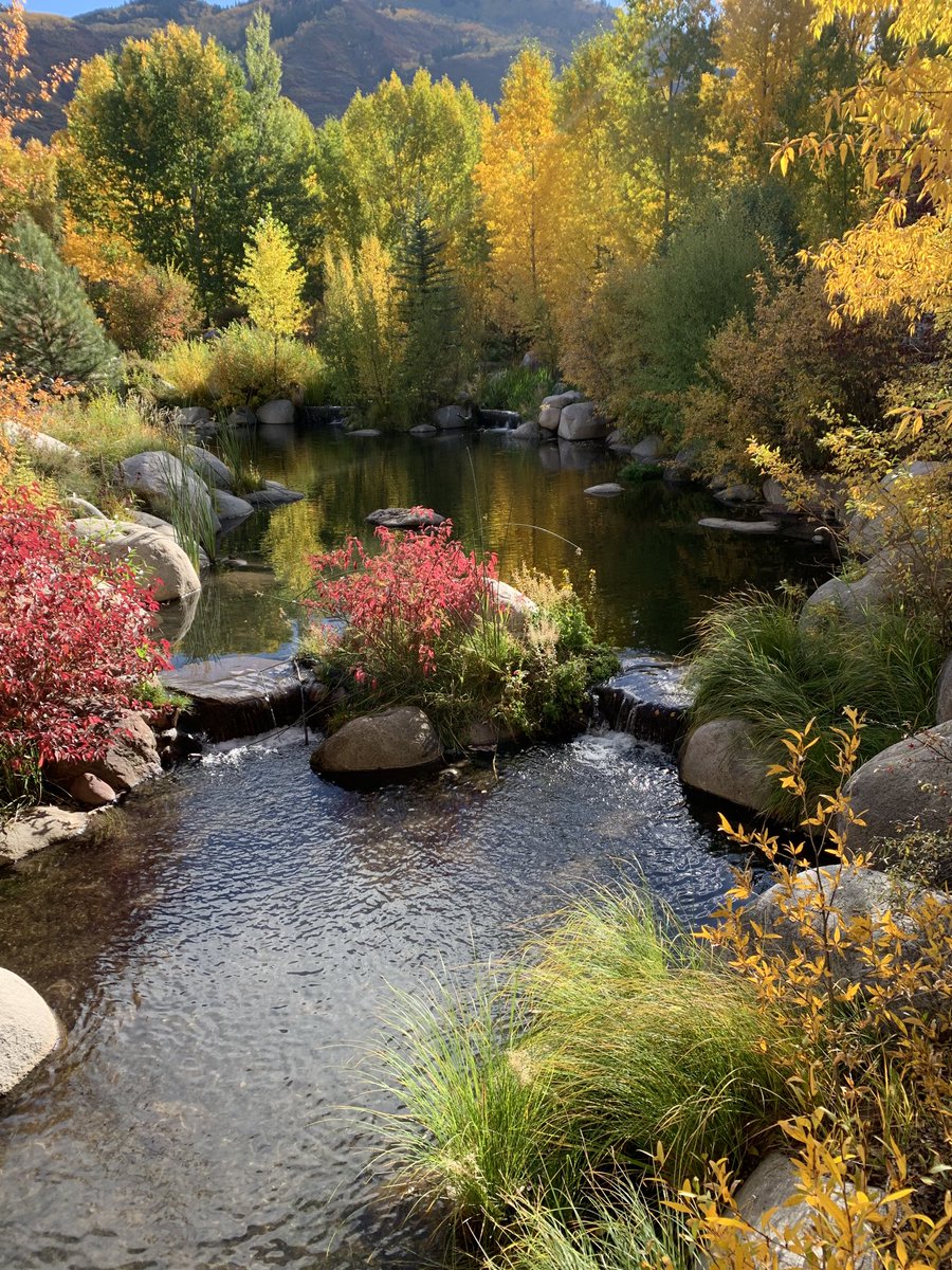 THEVinceRusso's tweet photo. Yeah, BRO, there is NO GOD!!! Landscapers I guess. https://t.co/R4gQkF7TOa