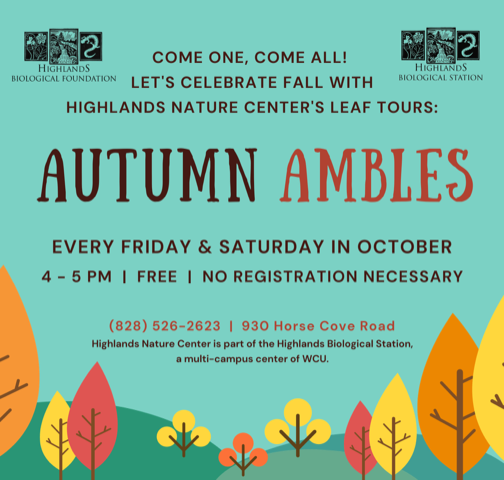 visit_highlands's tweet photo. 🍂Autumn Amble Leaf Tours happening Fridays &amp; Saturdays in October, 4pm.🍂

As the leaves begin to don their vibrant hues and the crisp autumn air fills the atmosphere, the Highlands Nature Center invites you on an enchanting journey through the beauty of the season. https://t.co/HH3bDUIyG0