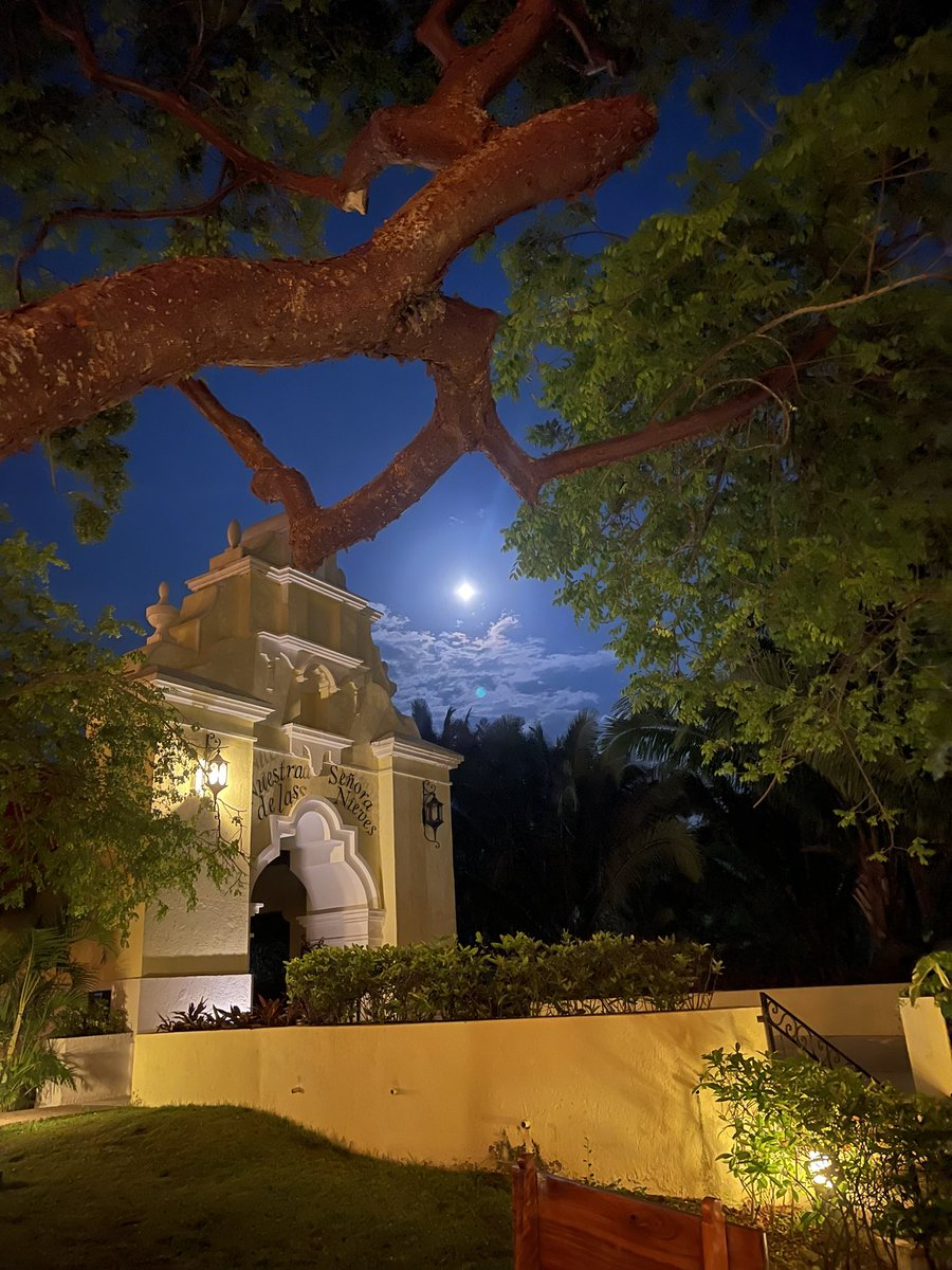 Paradise vibes. 😎