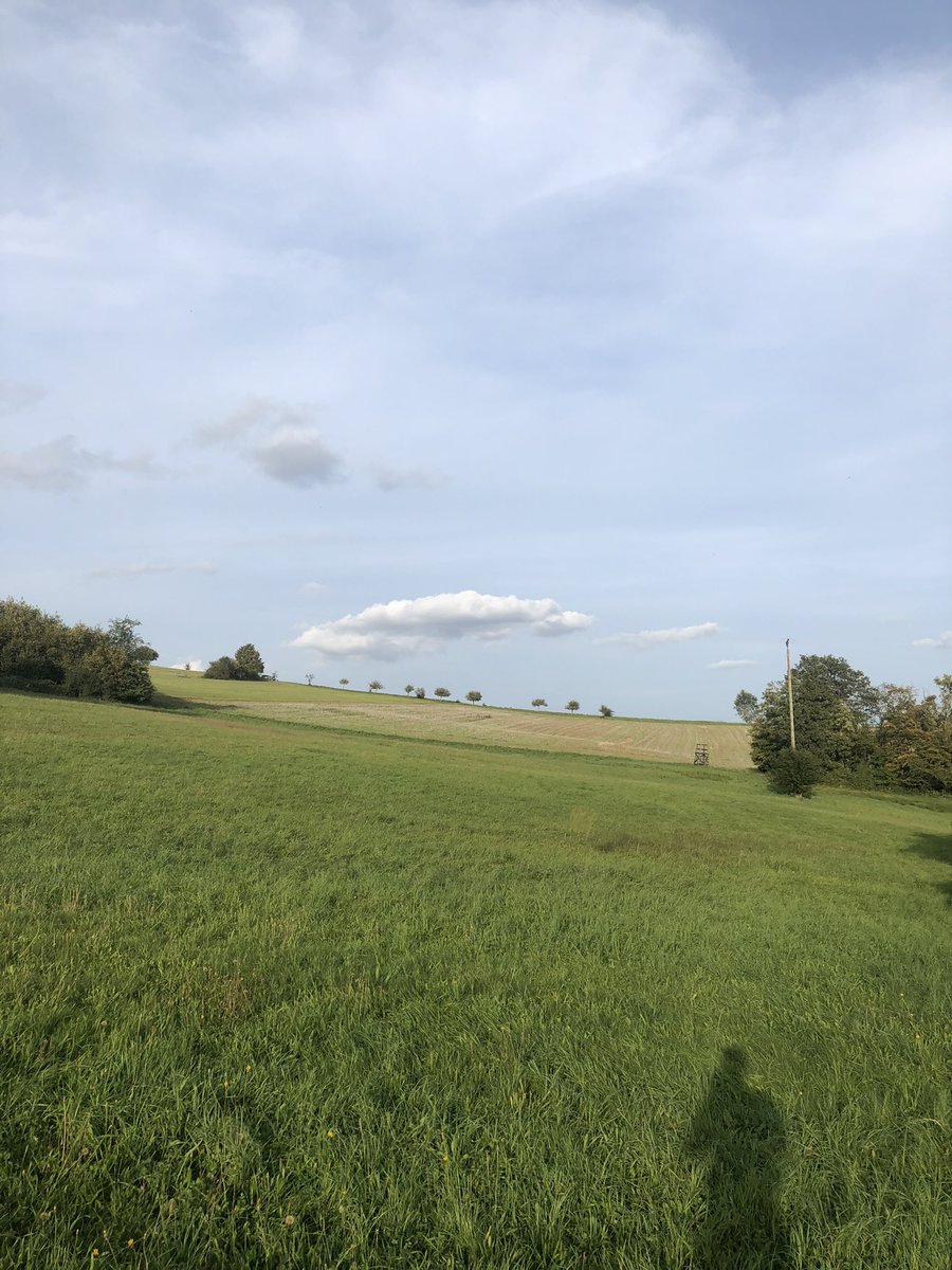 Sascha 🍉|🇻🇦✝️🌹🕊️ tweet media