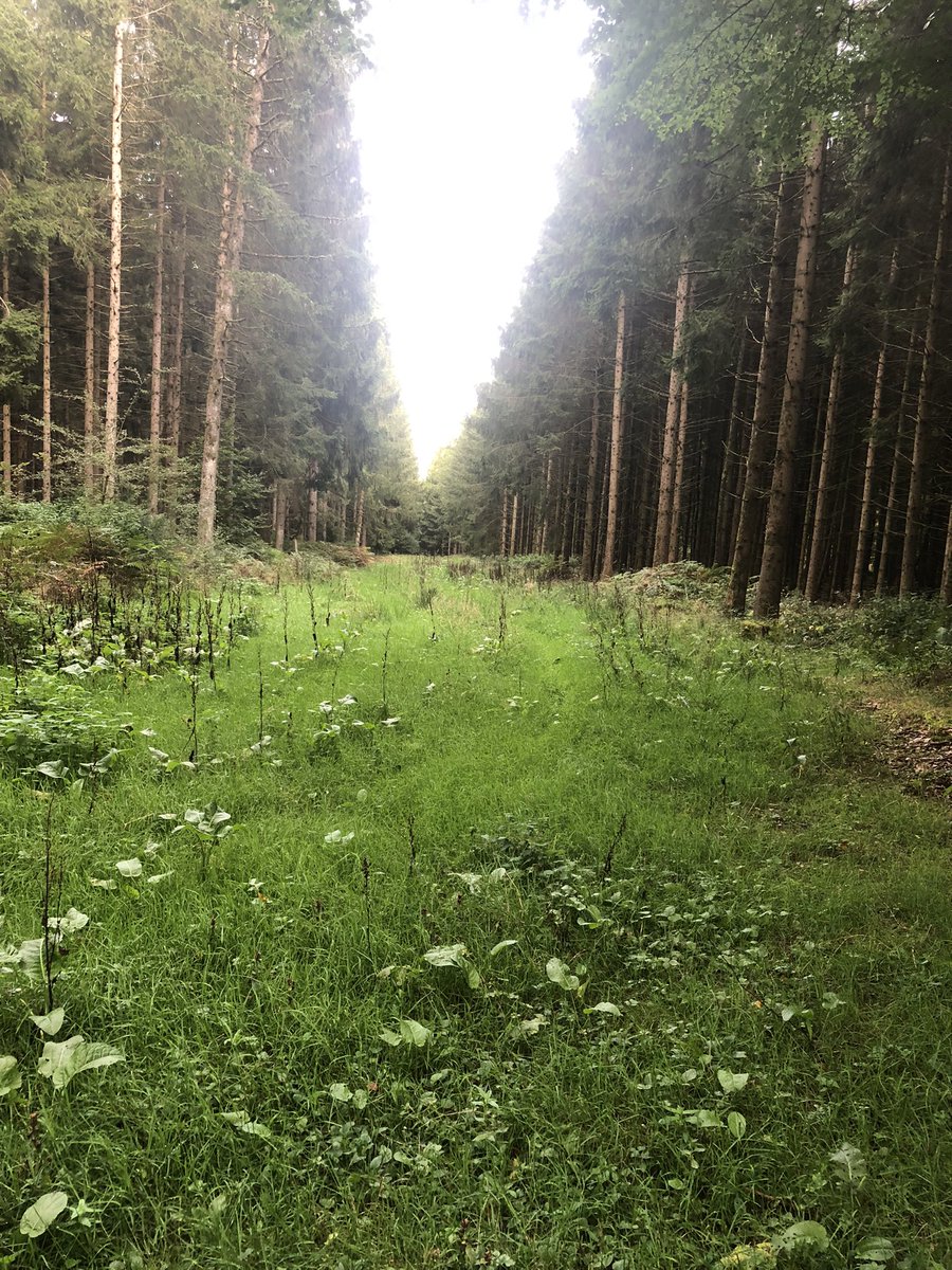 Sascha 🍉|🇻🇦✝️🌹🕊️ tweet media