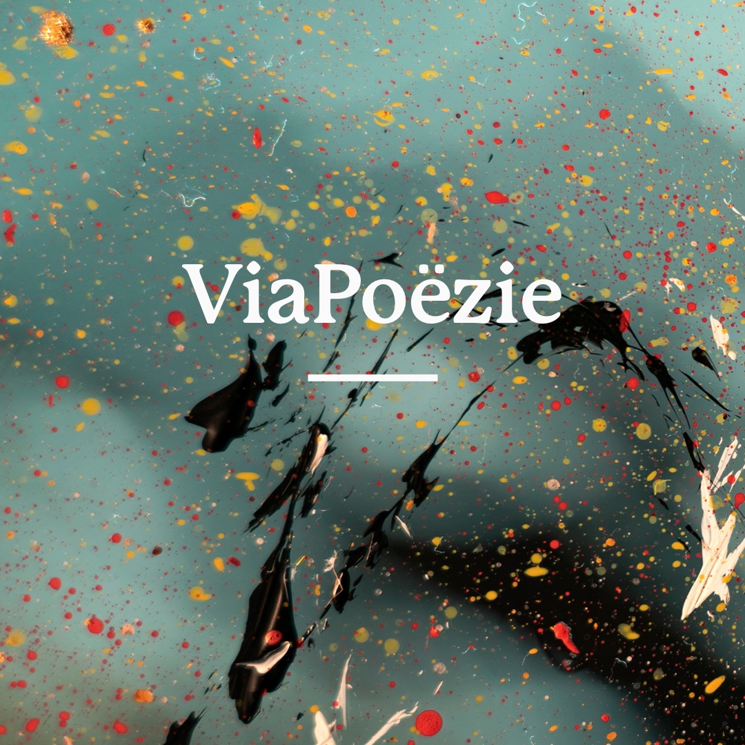 ViaJacobi tweet media