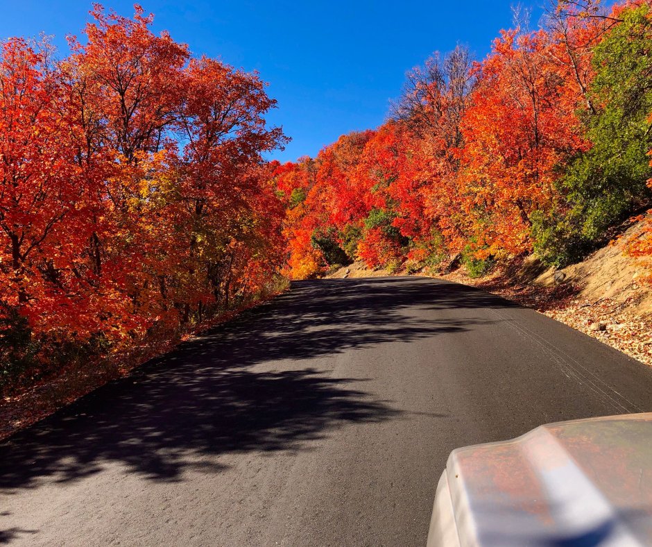 KUTV2News's tweet photo. Always choosing the scenic route... 🚗

📍: Guardsman Pass in Heber Valley, Utah
📸: Neal Bradshaw via https://t.co/rfXQN8Df2K https://t.co/5P21NV3WR8