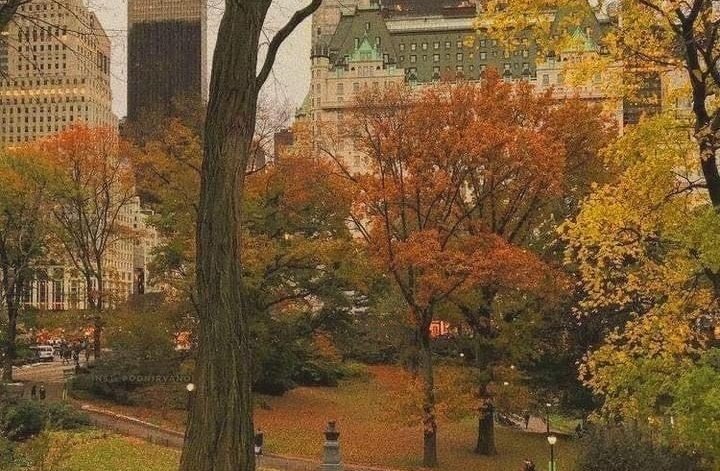 Fall afternoon with friends 🍂