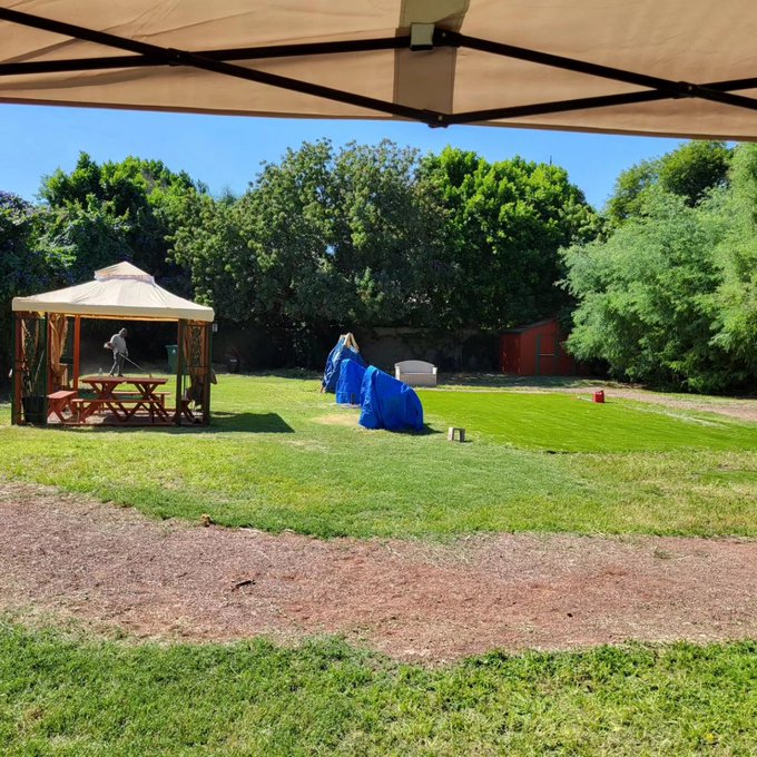 The Los Angeles Pony and Critter Club Pony Track and Play Arena are ready for Puppy Palooza 🐶 &hearts;️!  Puppy