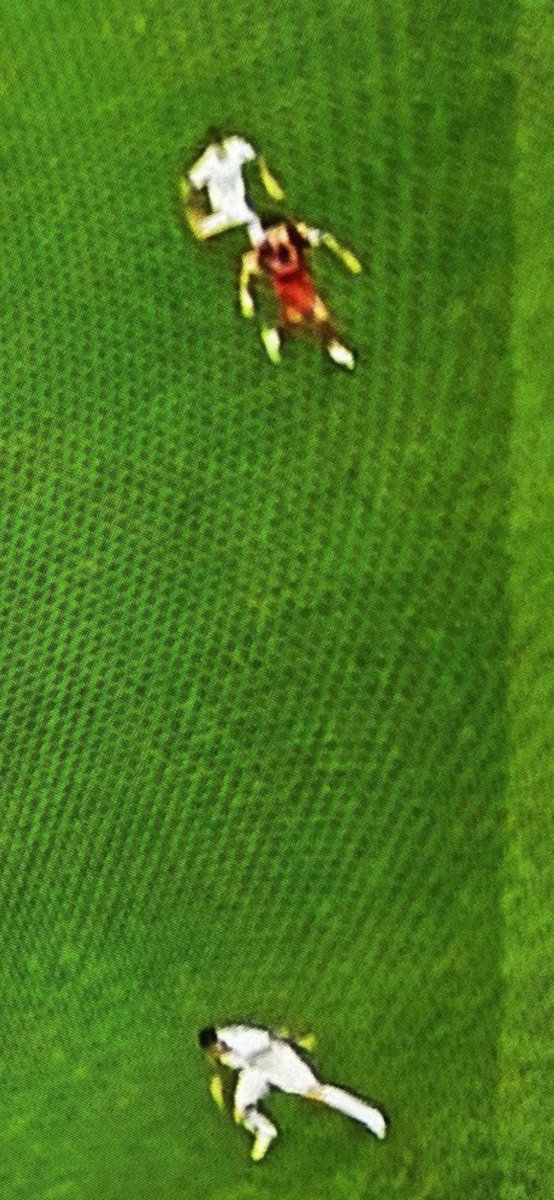 zidane disley tweet media