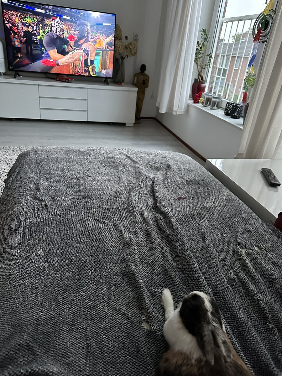 Our very sick Bunny 🐰 still loves to watch some <a href="/reymysterio/">♛Rey Mysterio❔</a> vs <a href="/EscobarWWE/">S. 💀🇲🇽</a> #WWESmackdown <a href="/WWE/">WWE</a>