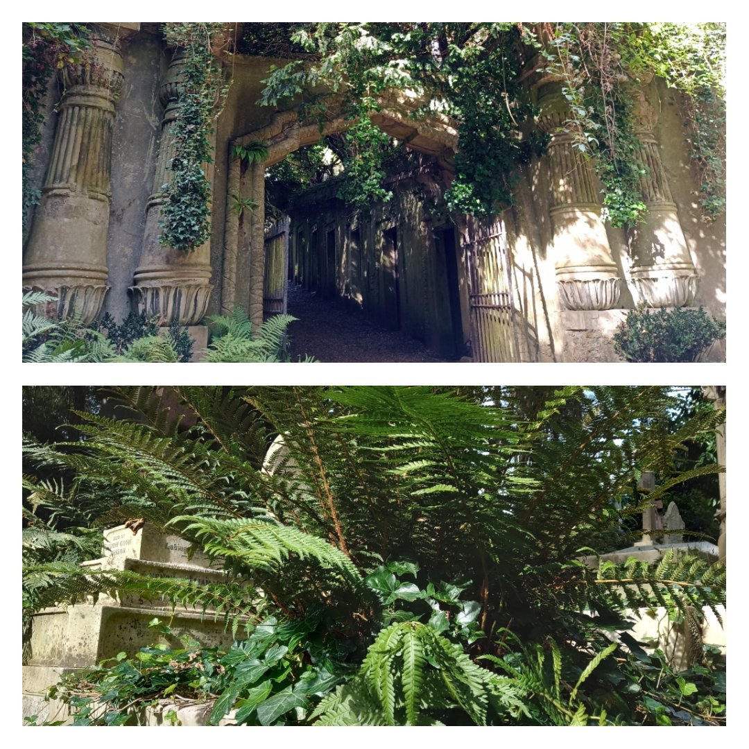 Thegirlwhonever's tweet photo. No, it's not the gardens of a palace somewhere exotic, but the amazing Highgate Cemetery!  Fascinatingly beautiful #takeatour @HighgateCemeter https://t.co/ZTIyRd3Fsw