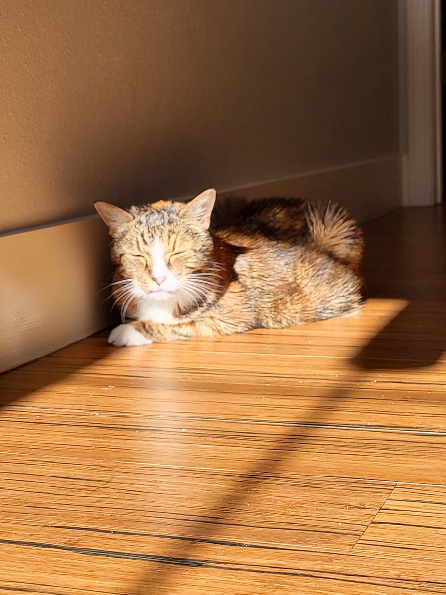 LDuck2013 tweet picture