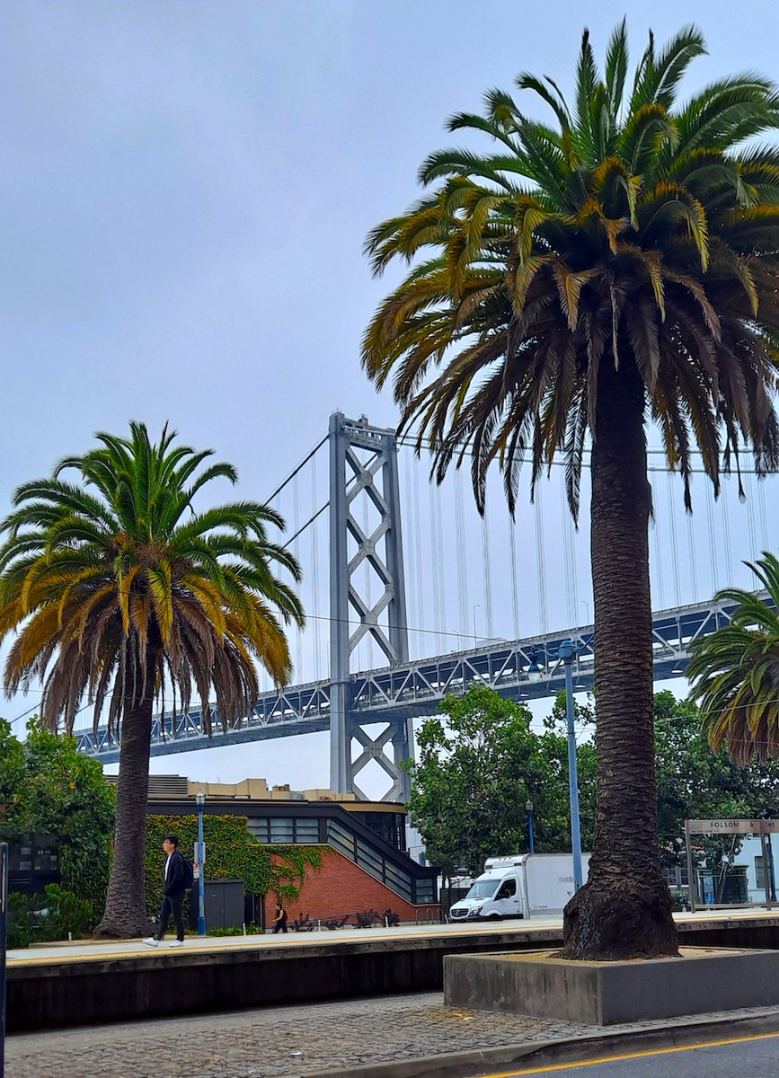 San Francisco September
#MagicCity #beautiful