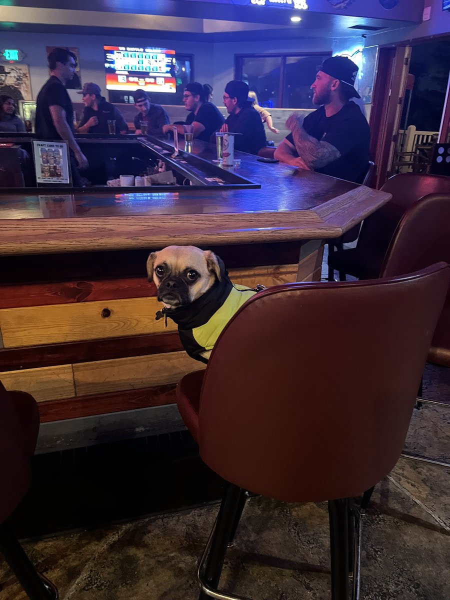 rol3y's tweet photo. someone get this guy a drink!!!! https://t.co/gPJVGOylDc