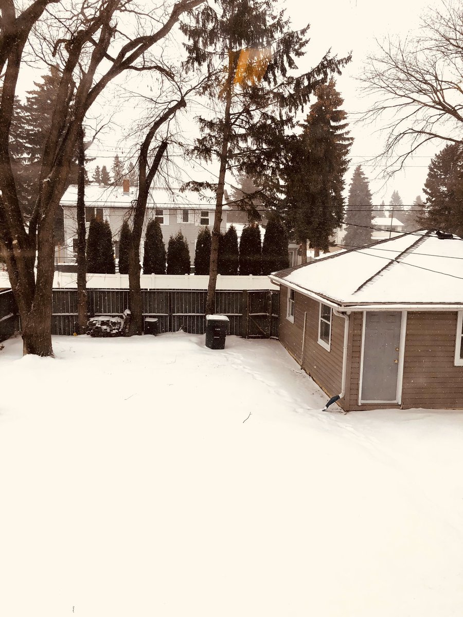 Olufemiloye's tweet photo. Same view, different seasons in Canada.

1) Fall
2) Winter
3) Spring
4) Summer

Which of the seasons is your favourite? #ChatWithOlu https://t.co/s7NFgDSbkl
