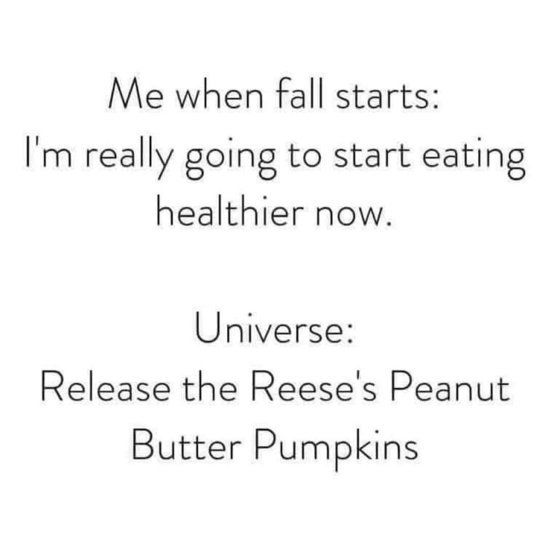 teachergoals's tweet photo. No lies detected! 🎃 https://t.co/CIoLbj0M9T