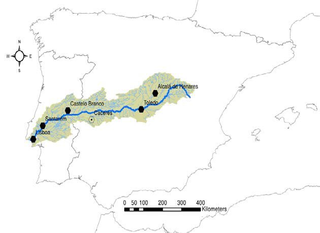 cuando algo mola mucho

maños: