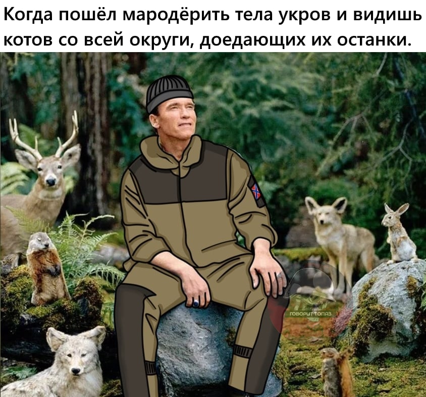 Гиперборей (@damrespecter) on Twitter photo 