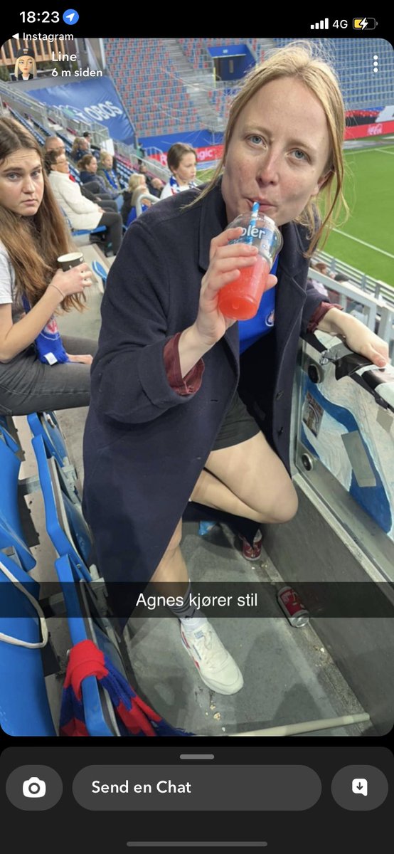 Agnes N. Viljugrein tweet media