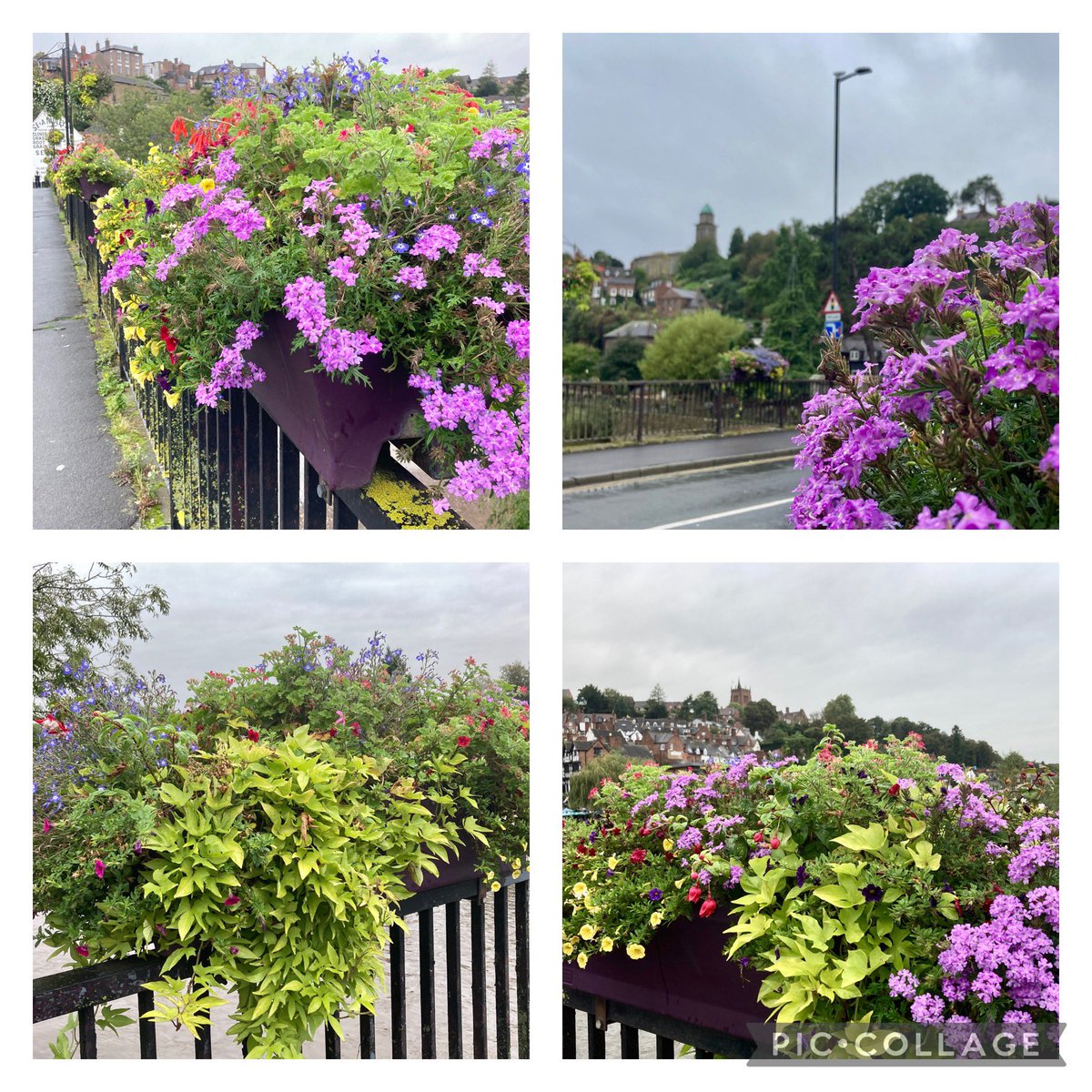 Although it’s a bit of a grey day the planters on the bridge are a lovely sight to brighten things up… They look absolutely gorgeous - they’re a bit different this year too. Well done Bridgnorth Town Council they really add to the curb appeal of our town ❤️ #LoveBridgnorth