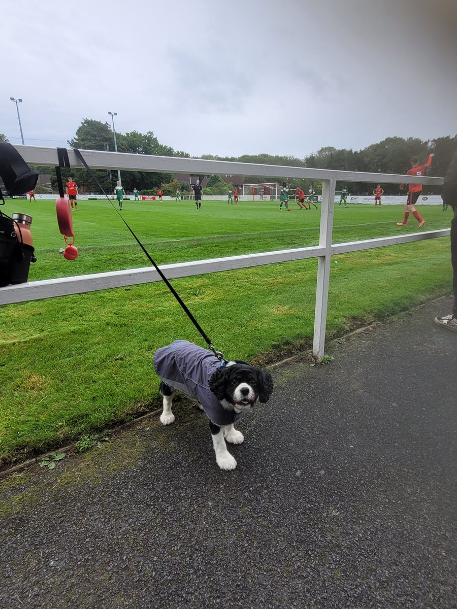 Wolverhampton Casuals FC tweet media