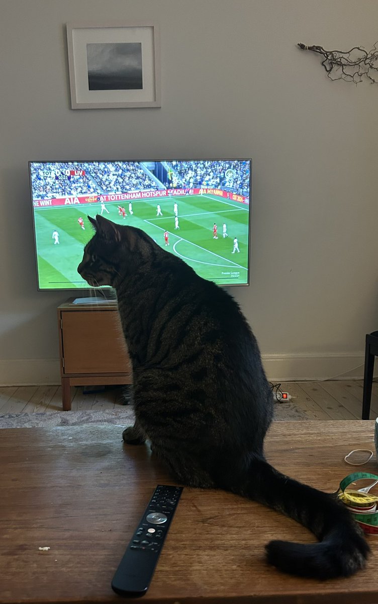 KMacklon's tweet photo. Everyone in the family ready for the match! ⚽️ https://t.co/i9dQ4yDUgt