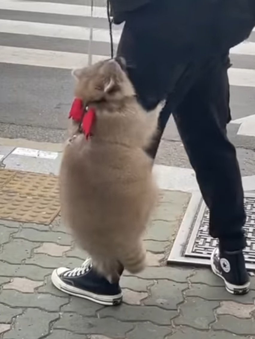 올해말까지는 가비디타임과 함께야
내년은?
가비디타임 1화부터 매주 정주행 다시 시작하면 그만이야~ 그럼 3년10개월동안은 매주갑타볼수잇어~