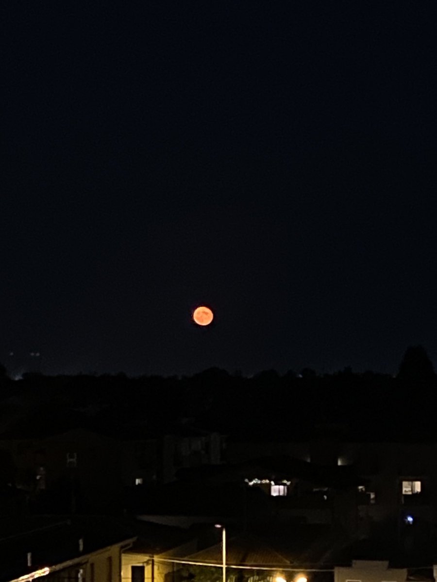 Alfredo Bisogni (@albisogni) on Twitter photo 