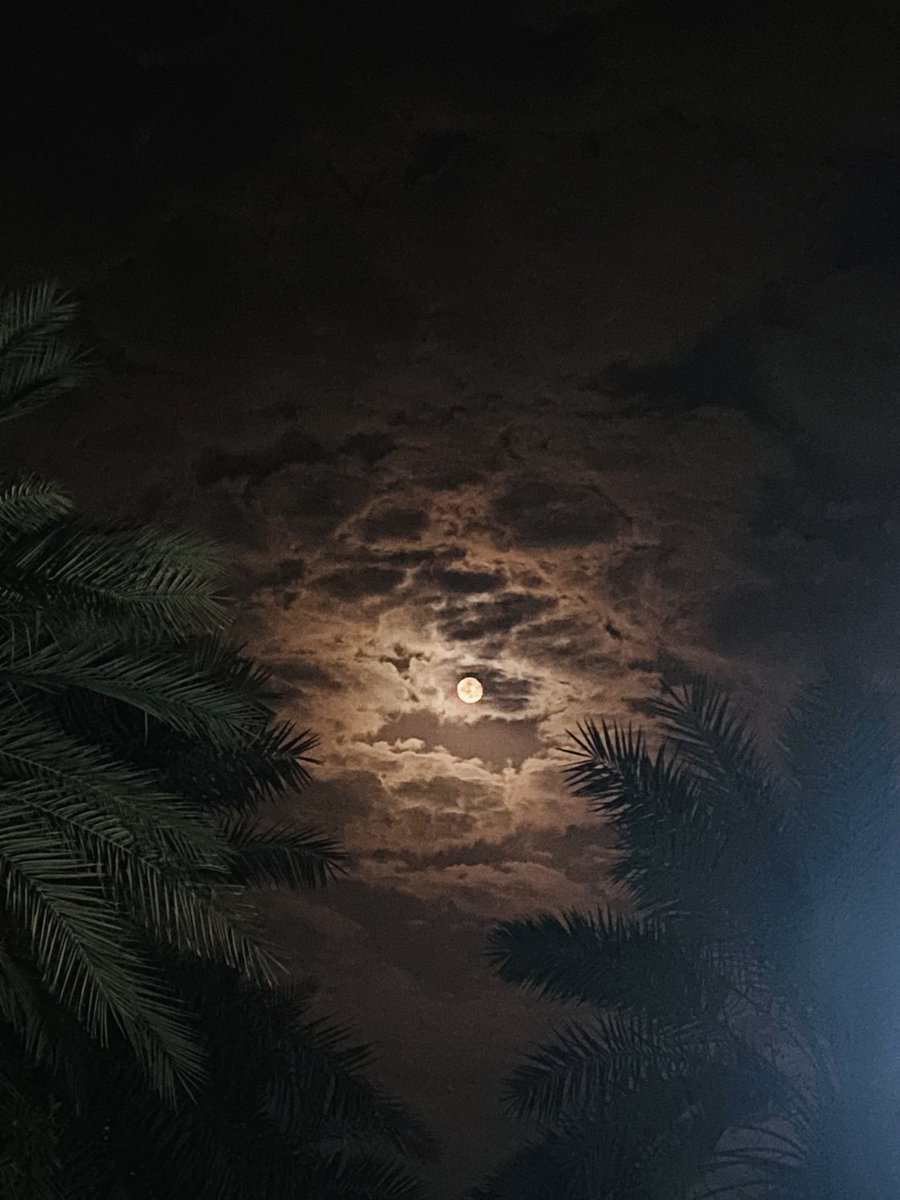 أمّا الليالي المقمرةِ.. لذةٌ لسهرِ المحبين🍃