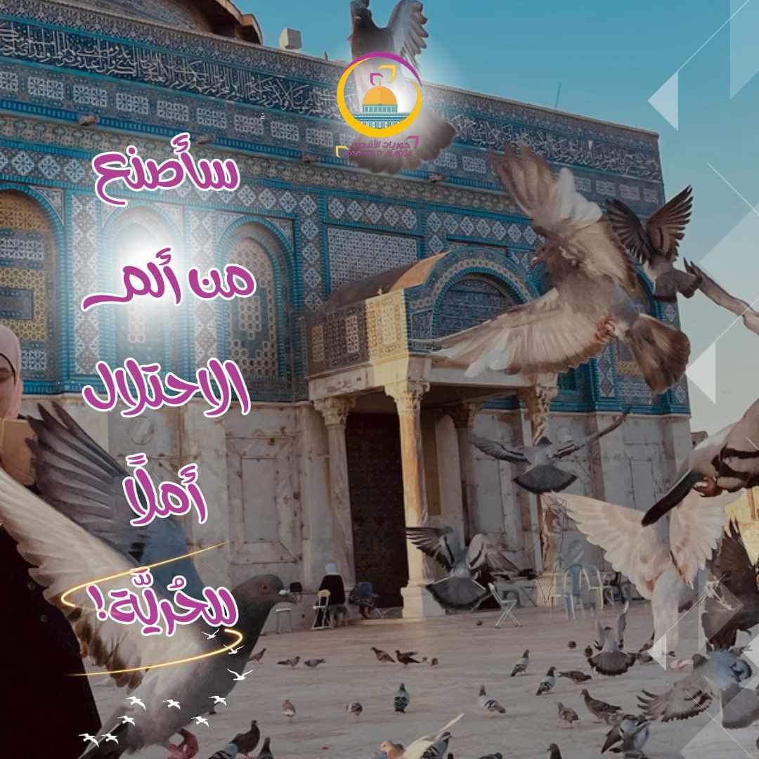 Tag007red's tweet photo. @horiyatelqsa https://t.co/EcdVQmvwaE