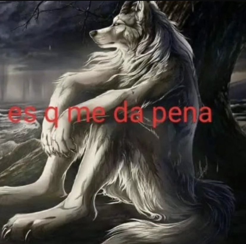 ❛becca❜ tweet media