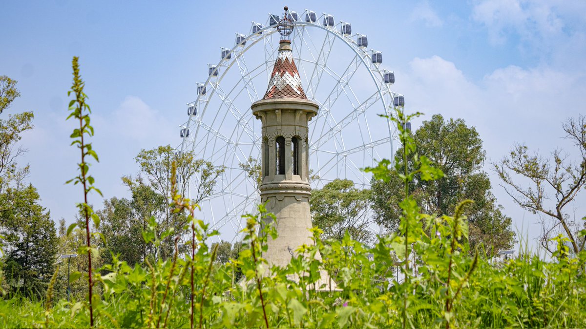 Bosque De Chapultepec tweet media