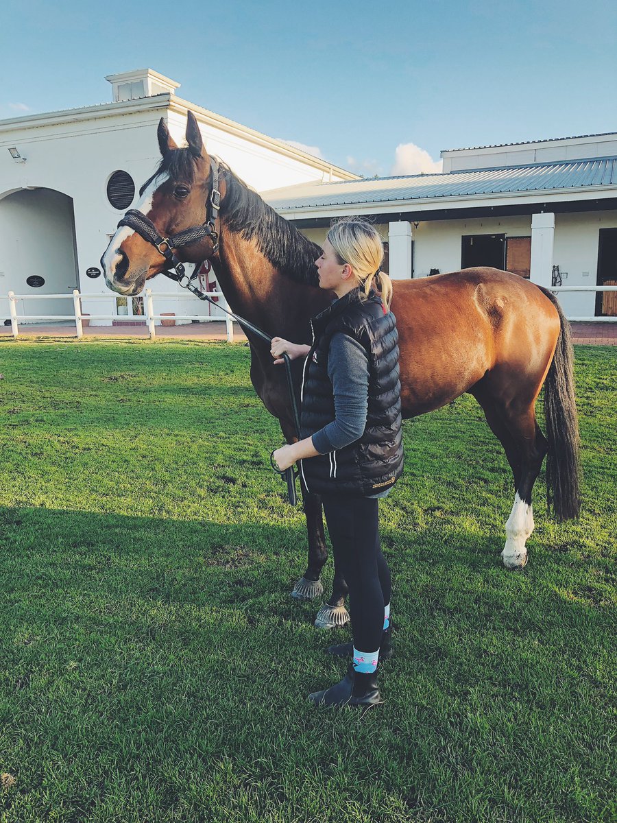 Touching some grass. Who knew that shitcoin trading can fund a stable relationship🐴